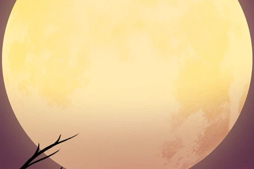 Un-boolieveable Preview